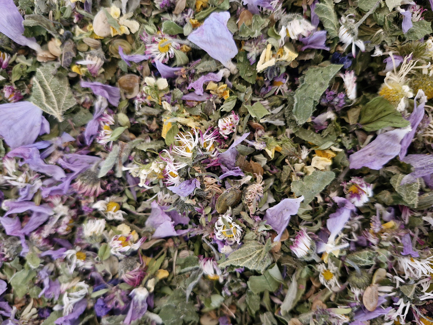 Infusion "Vitalité"