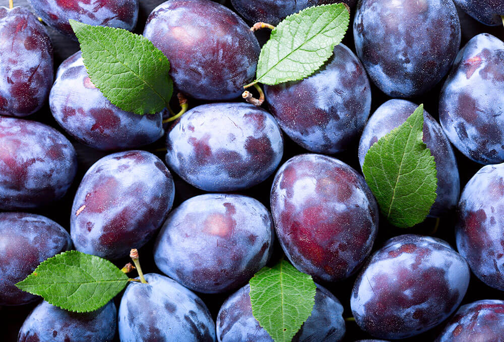 Confiture de Prunes "Quetsches"
