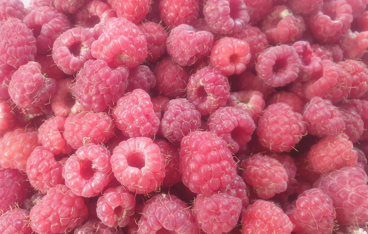 Confiture de Framboises